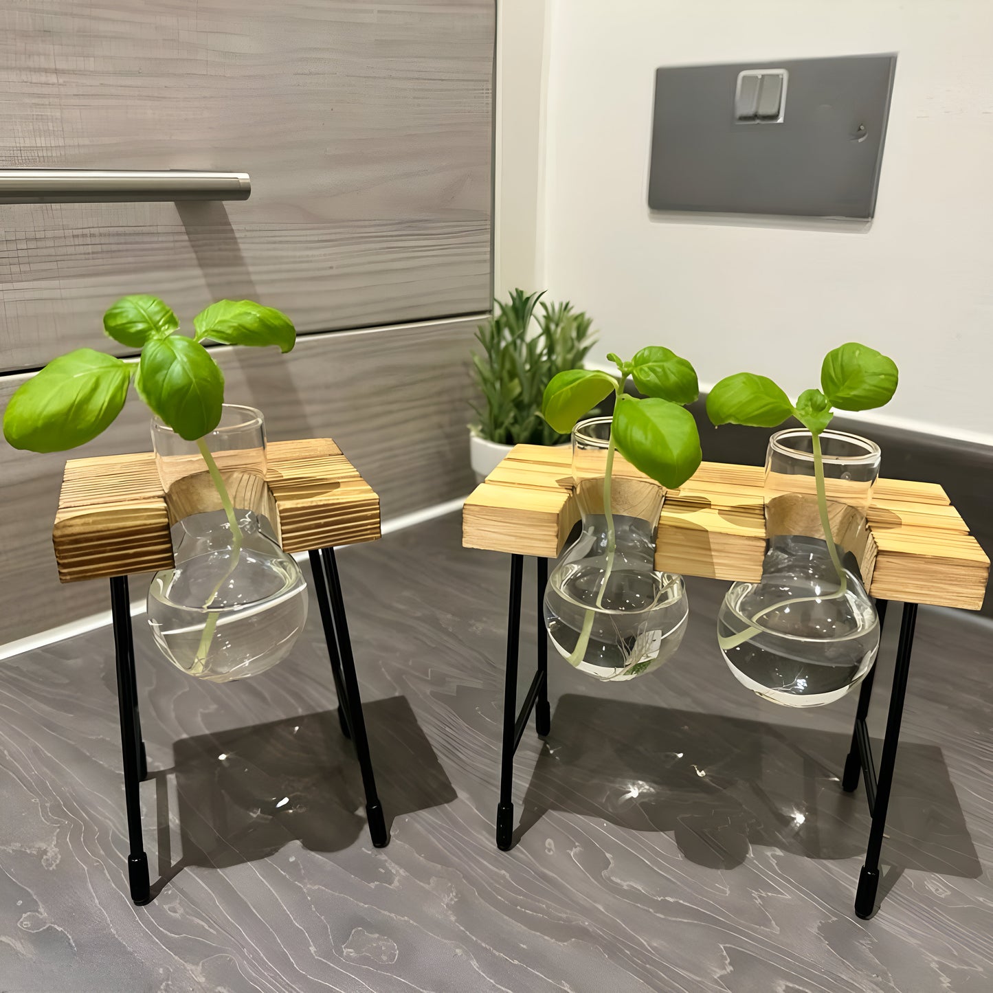 Hydroponic Gardening - Plant Propagation Station Glass Desk Plant Indoor Hydroponic Plant Pot Wooden Frame Plant Cuttings Glass Vase