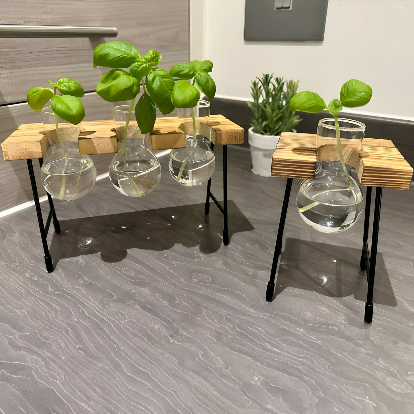 Hydroponic Gardening - Plant Propagation Station Glass Desk Plant Indoor Hydroponic Plant Pot Wooden Frame Plant Cuttings Glass Vase