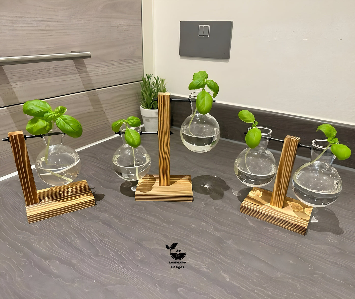 Hydroponic Plant Pot - Plant Propagation Station Hydroponic Gardening Indoor Plant Cuttings Vase Wooden Frame Glass Glass Desk Plant Vase