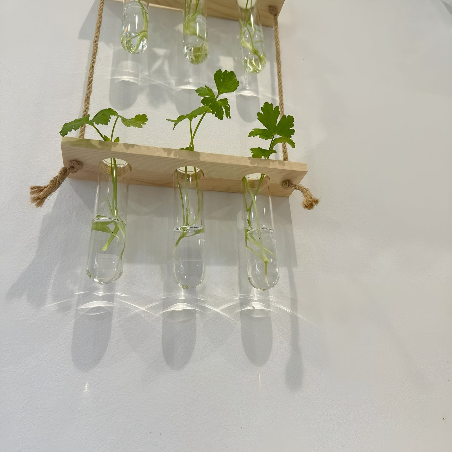 Testtube Vases Hanging Hydroponic System,  Three-Tier Test Tube Propagate Plant Clipping Pothos Wall Propagation System