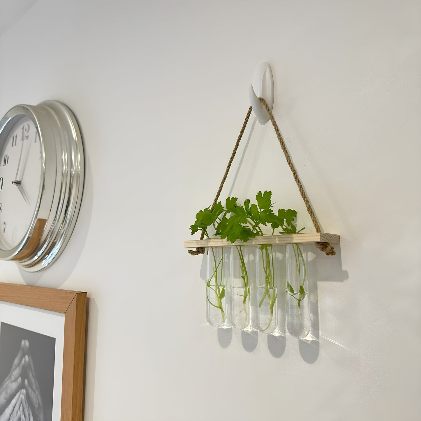 Testtube Vases Hanging Hydroponic System, One-Tier Test Tube Propagate Plant Clipping Pothos Wall Propagation System