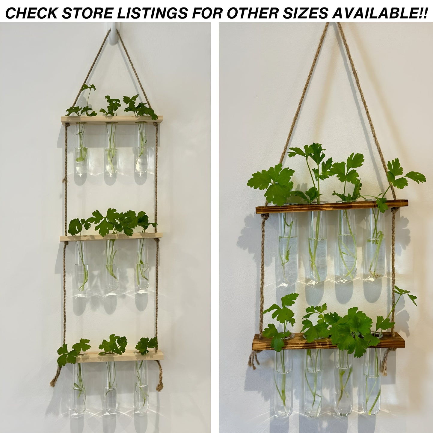 Testtube Vases Hanging Hydroponic System, One-Tier Test Tube Propagate Plant Clipping Pothos Wall Propagation System