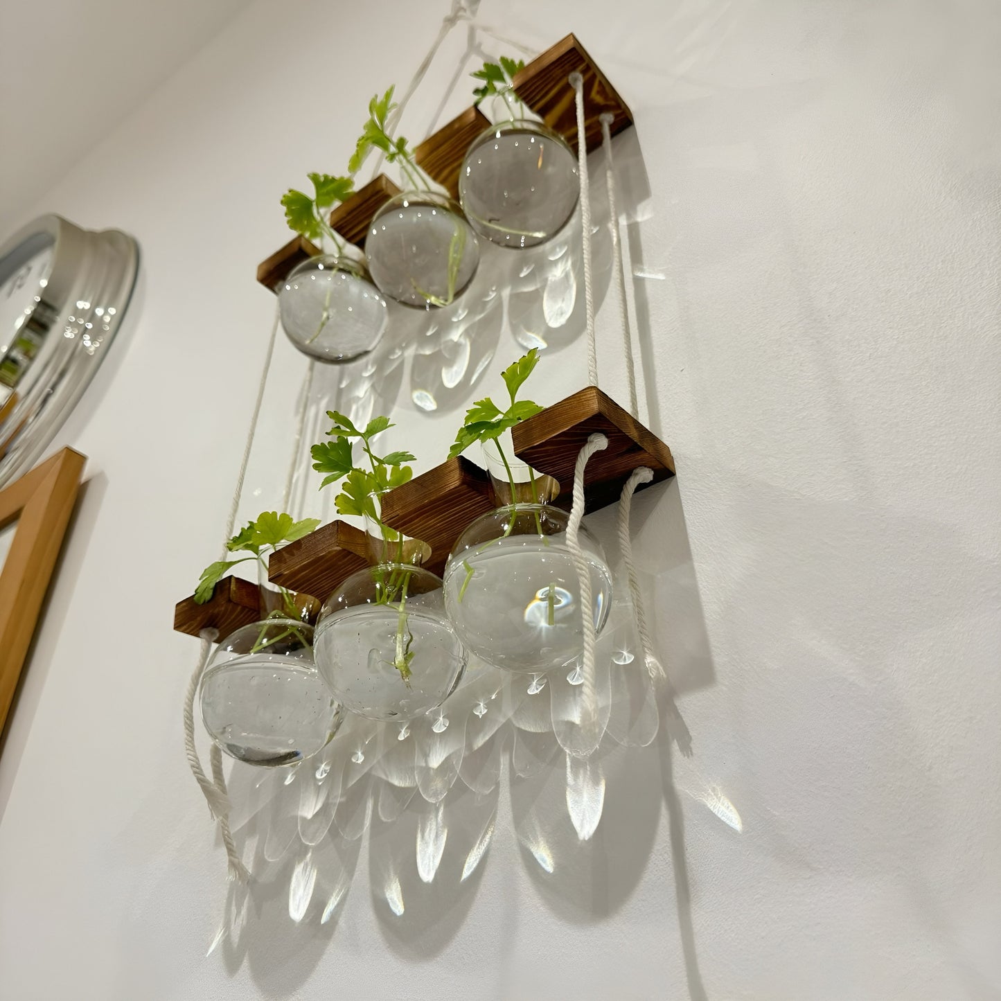 Hanging Hydroponic System, 2-Tier  Bulb Glasses Propagate Wall Hanging Plant Clipping Pothos Propagation System