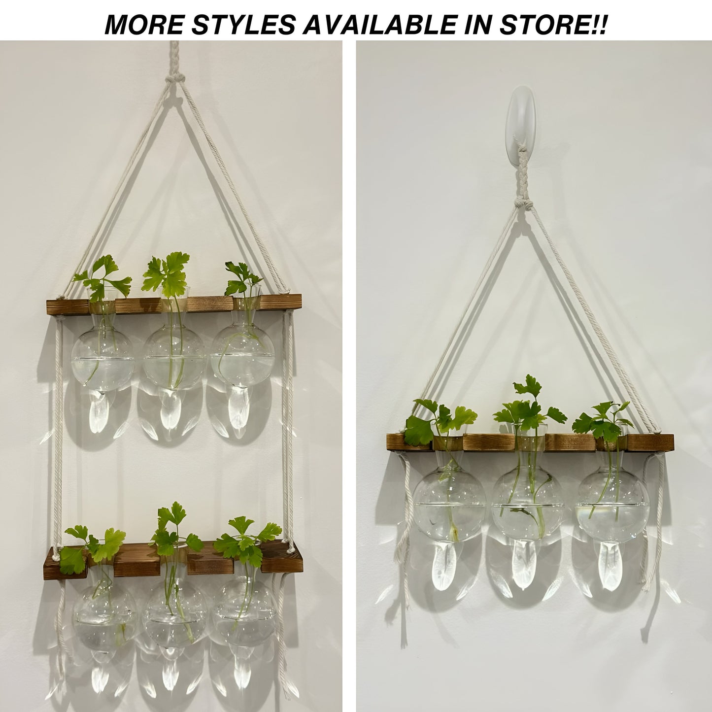 Hanging Hydroponic System, 2-Tier  Bulb Glasses Propagate Wall Hanging Plant Clipping Pothos Propagation System