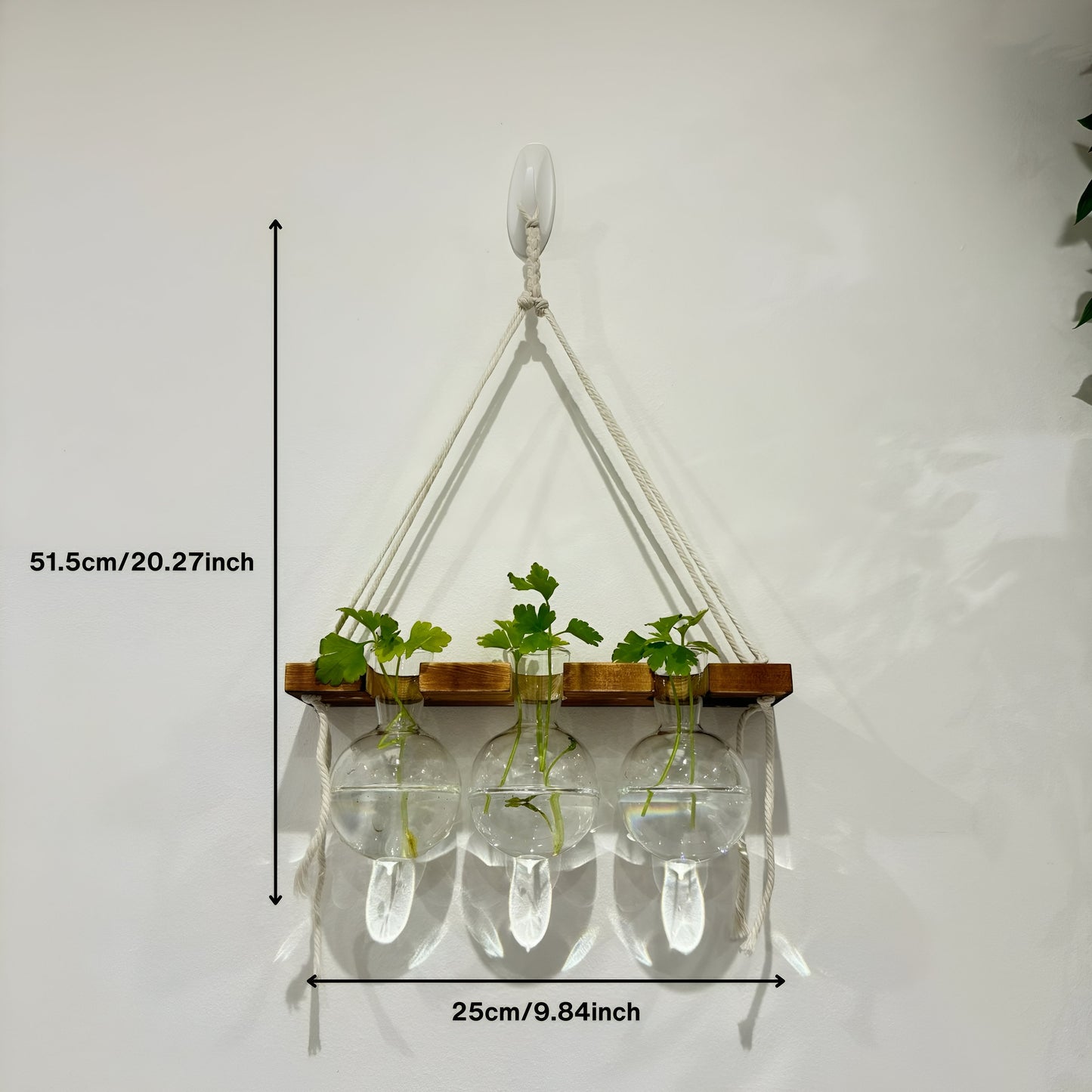 Hanging Hydroponic System, 1-Tier Bulb Glasses Propagate Wall Hanging Plant Clipping Pothos Propagation System