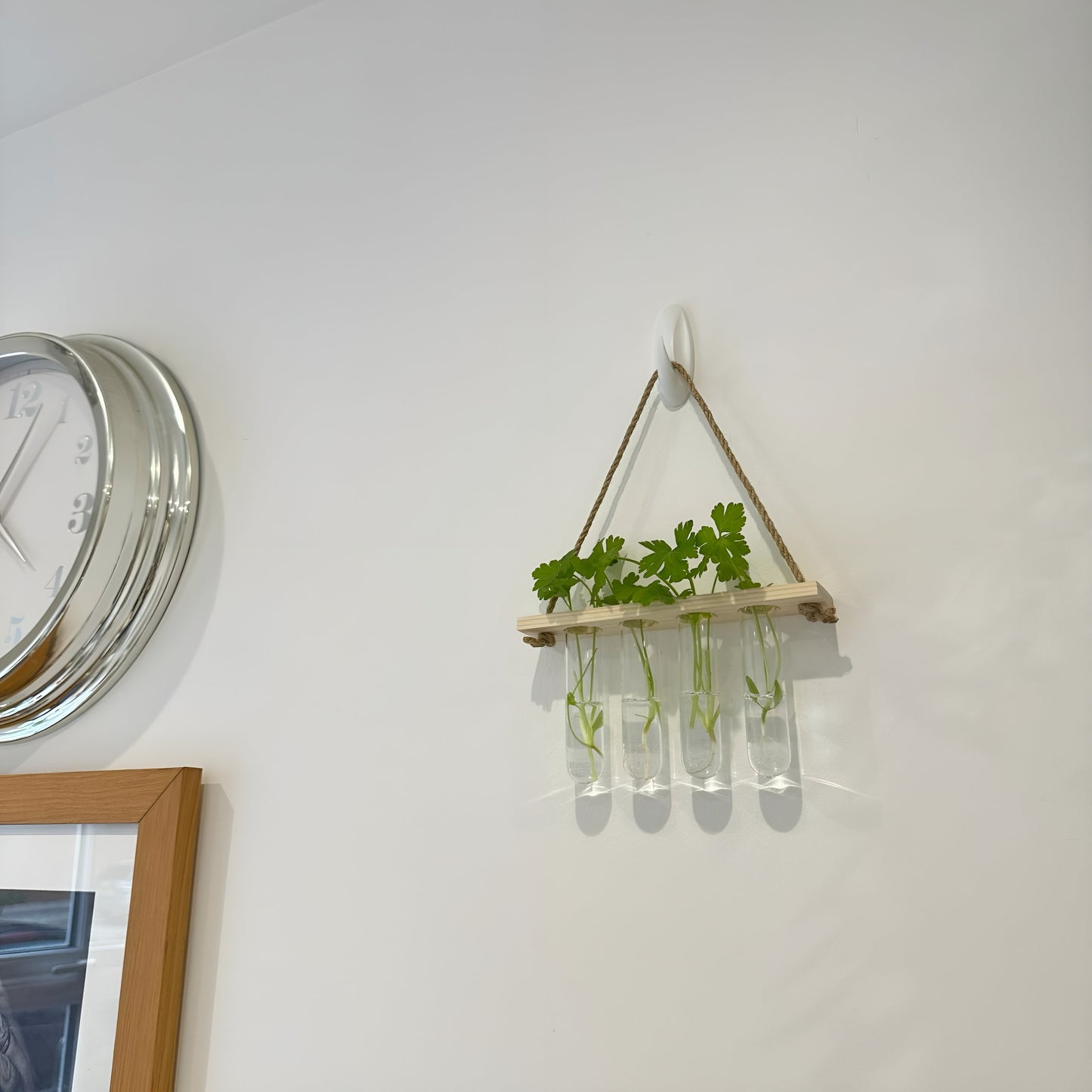 Testtube Vases Hanging Hydroponic System, One-Tier Test Tube Propagate Plant Clipping Pothos Wall Propagation System