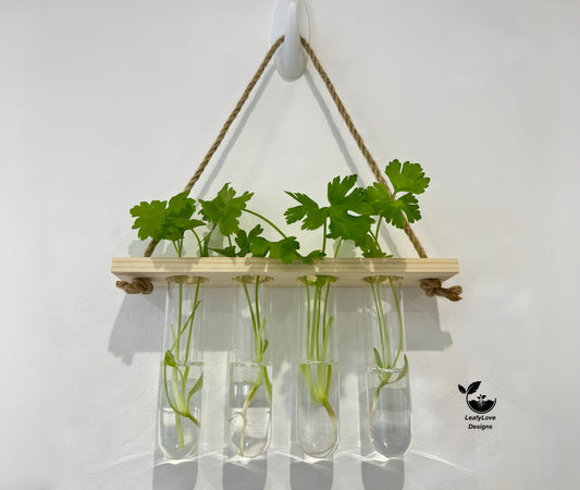 Testtube Vases Hanging Hydroponic System, One-Tier Test Tube Propagate Plant Clipping Pothos Wall Propagation System