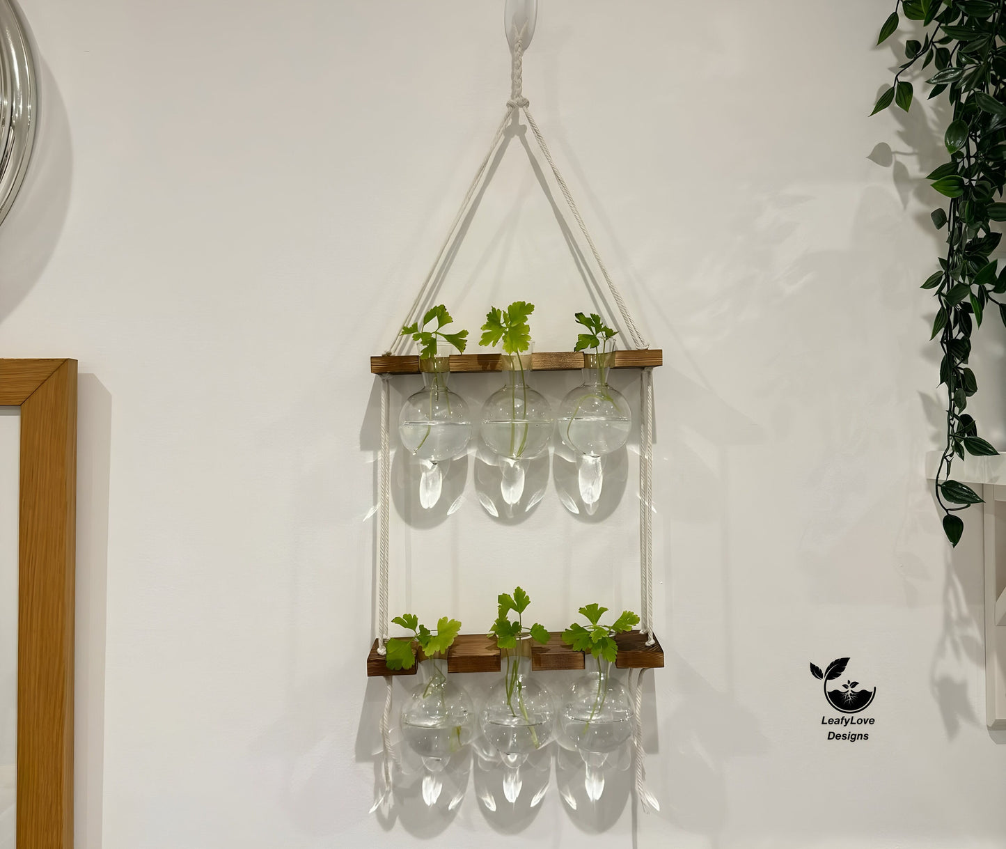 Hanging Hydroponic System, 2-Tier  Bulb Glasses Propagate Wall Hanging Plant Clipping Pothos Propagation System